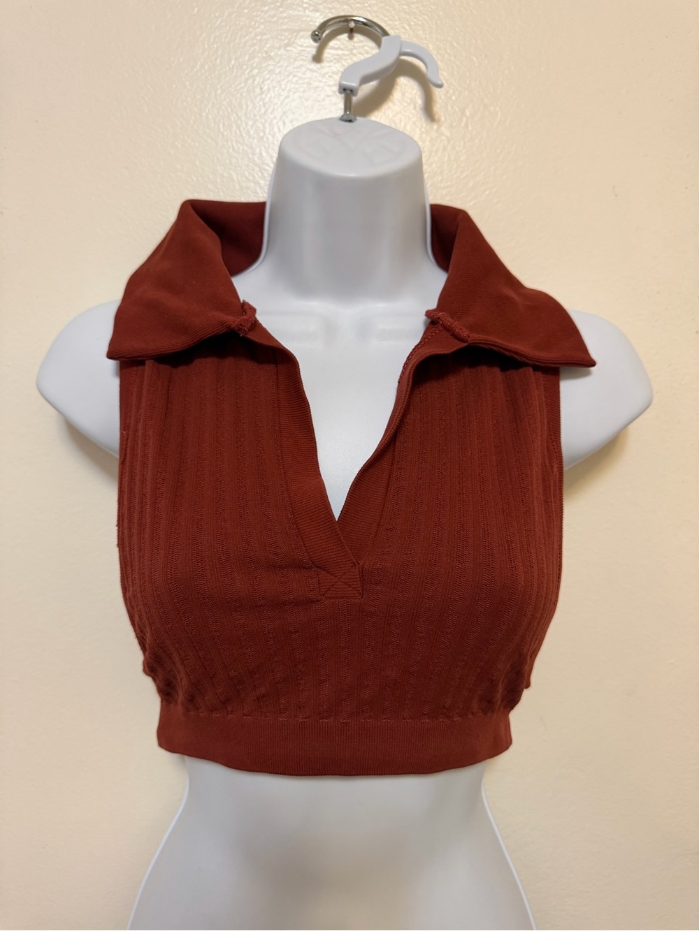 Urban Outfitters Rust Ribbed Polo Crop Top